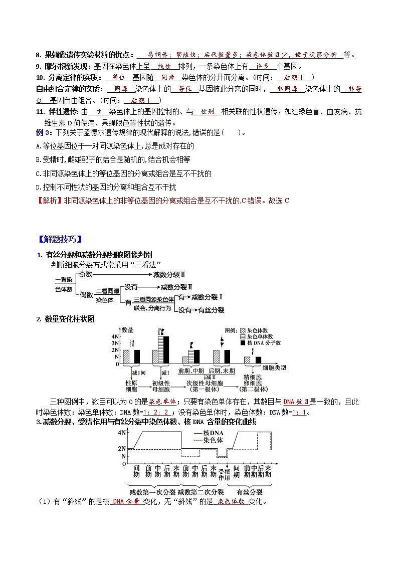 专题08 基因和染色体的关系 ：【二轮复习】备战2023年高考生物必备知识大串讲02