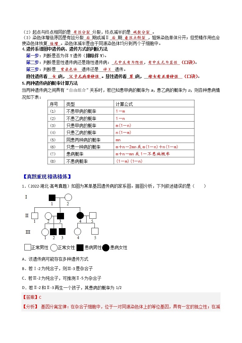 专题08 基因和染色体的关系 ：【二轮复习】备战2023年高考生物必备知识大串讲03