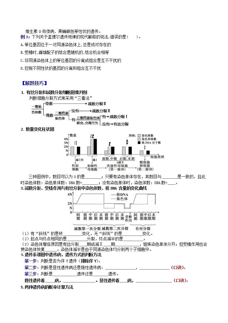 专题08 基因和染色体的关系 ：【二轮复习】备战2023年高考生物必备知识大串讲02