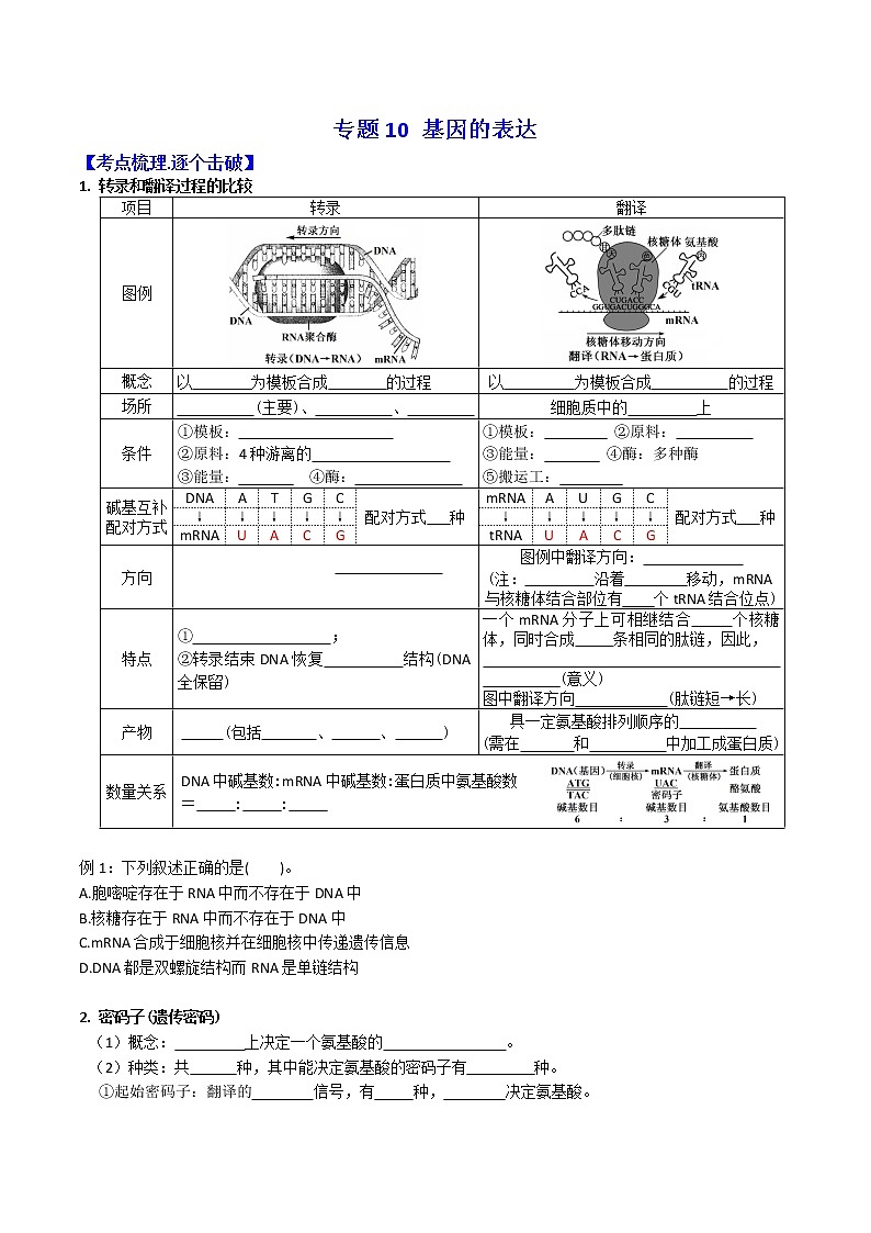 专题10 基因的表达 ：【二轮复习】备战2023年高考生物必备知识大串讲01