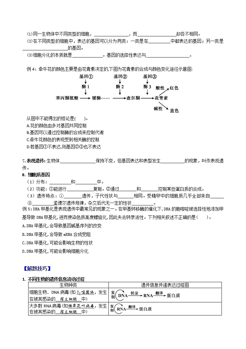 专题10 基因的表达 ：【二轮复习】备战2023年高考生物必备知识大串讲03