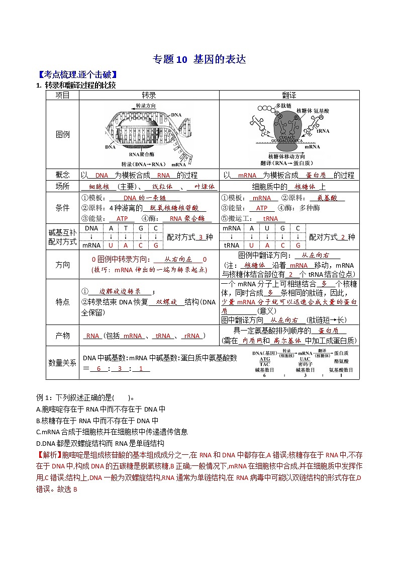 专题10 基因的表达 ：【二轮复习】备战2023年高考生物必备知识大串讲01