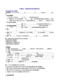 专题11 基因突变及其他变异 ：【二轮复习】备战2023年高考生物必备知识大串讲