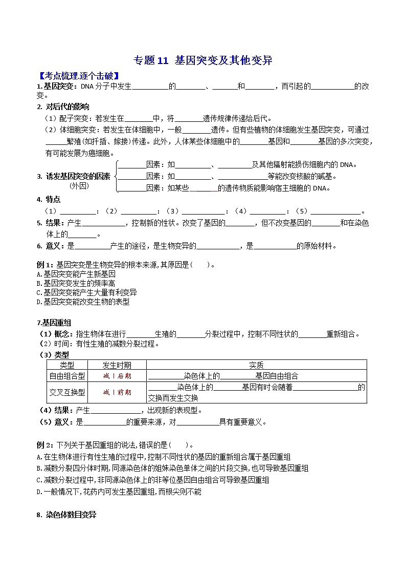 专题11 基因突变及其他变异 ：【二轮复习】备战2023年高考生物必备知识大串讲01