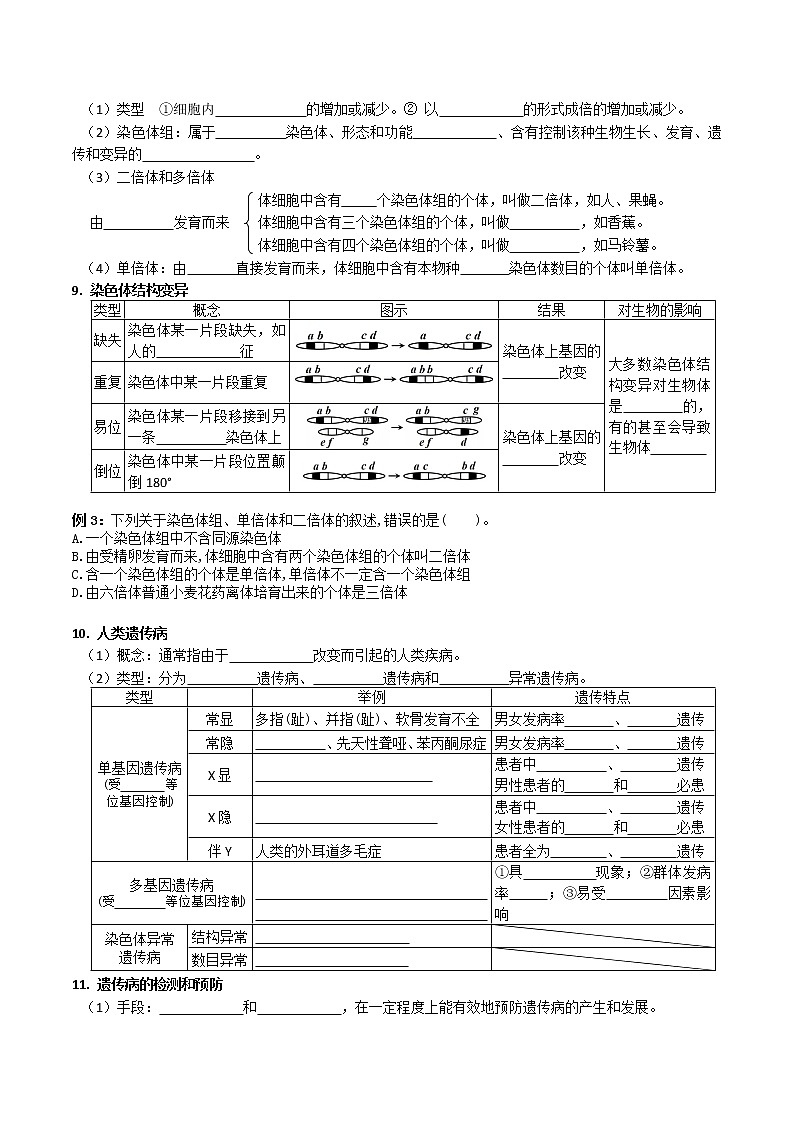 专题11 基因突变及其他变异 ：【二轮复习】备战2023年高考生物必备知识大串讲02