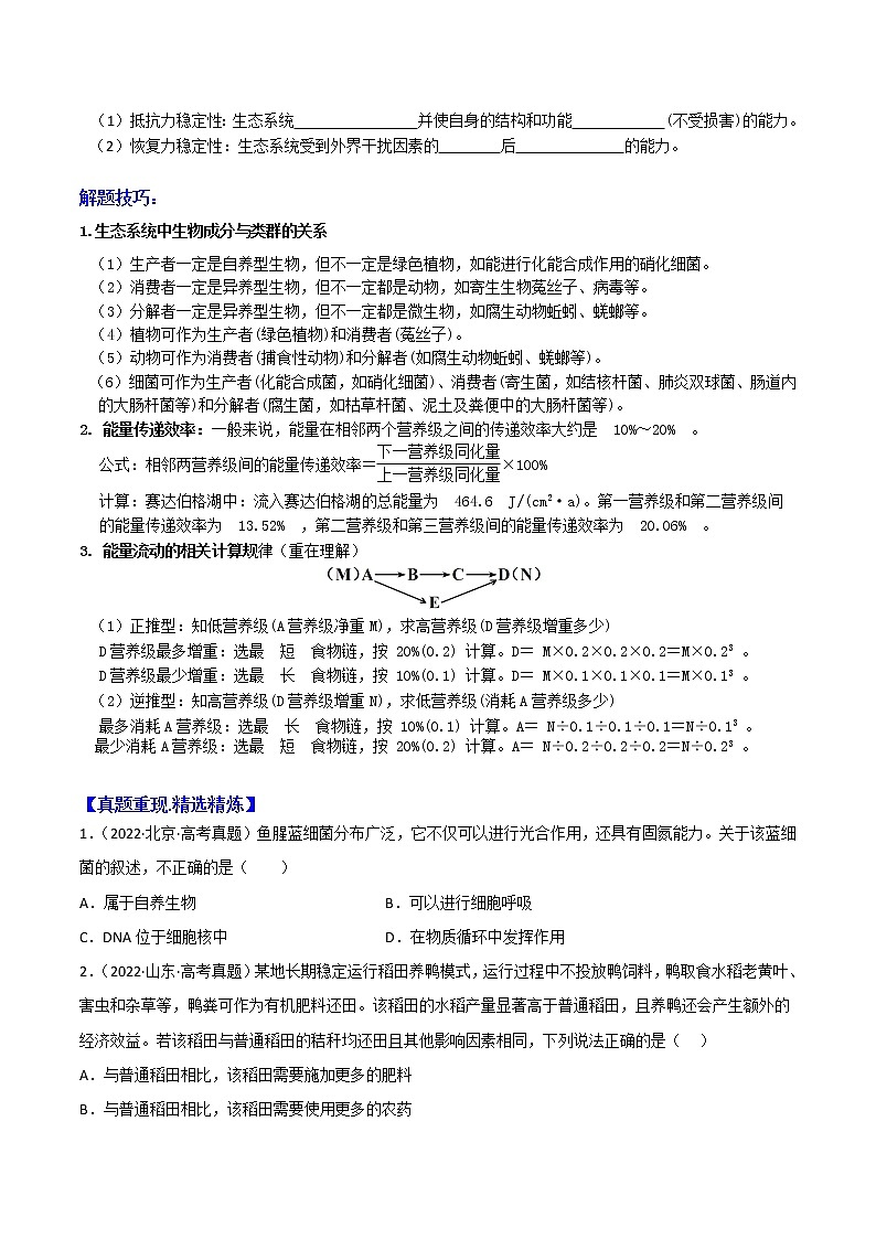 专题16 生态系统及其稳定性 ：【二轮复习】备战2023年高考生物必备知识大串讲02