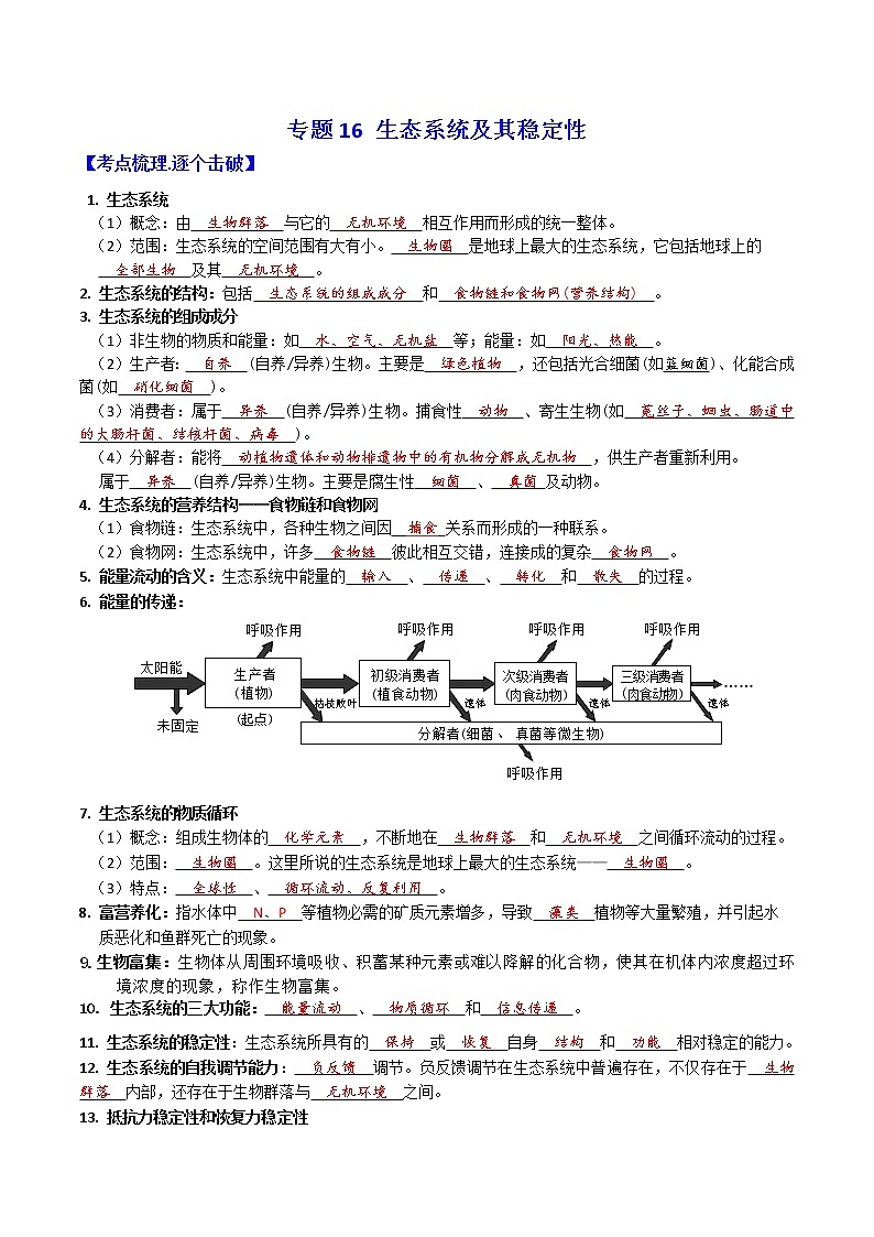专题16 生态系统及其稳定性 ：【二轮复习】备战2023年高考生物必备知识大串讲01