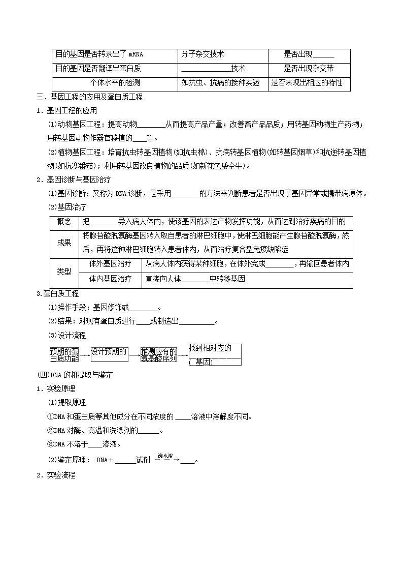 专题19 基因工程 ：【二轮复习】备战2023年高考生物必备知识大串讲02