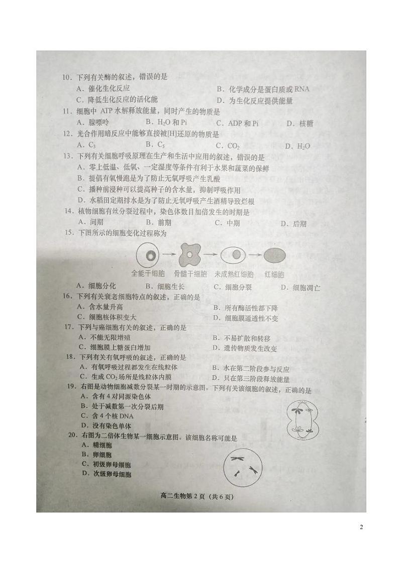 江苏省盐城市2020-2021学年高二年级学业水平合格性考试模拟测试生物试题第2页