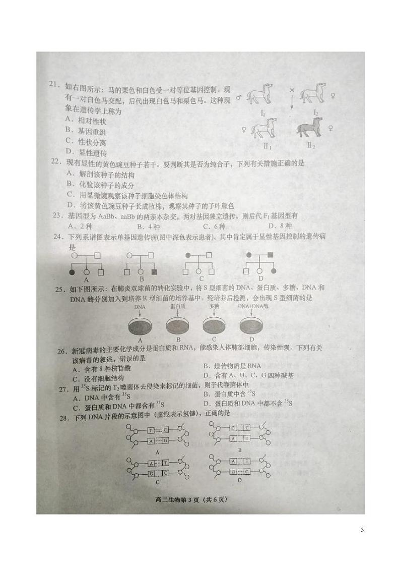 江苏省盐城市2020-2021学年高二年级学业水平合格性考试模拟测试生物试题第3页