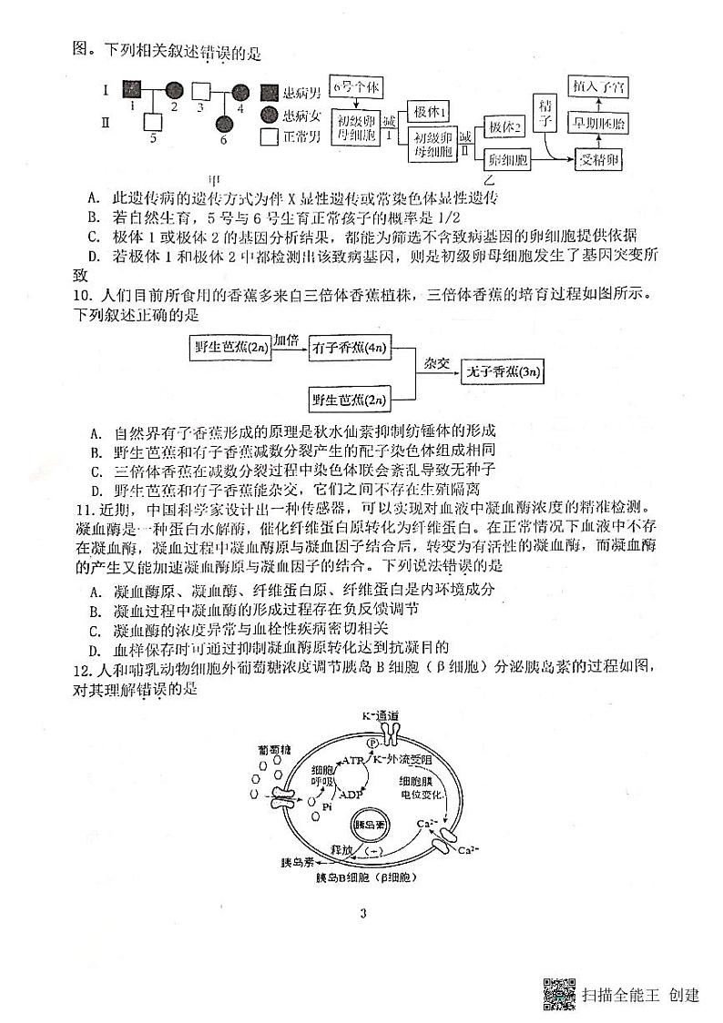 2023恩施州教育联盟高三上学期期末联考试题生物PDF版含答案03