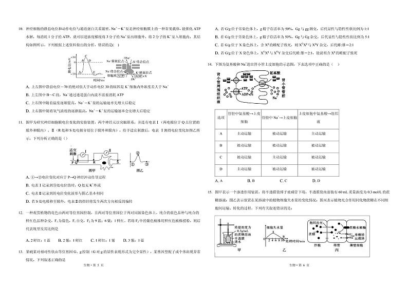 2021届重庆市主城区高三上学期高考适应性试卷（一）生物试题 PDF版第3页