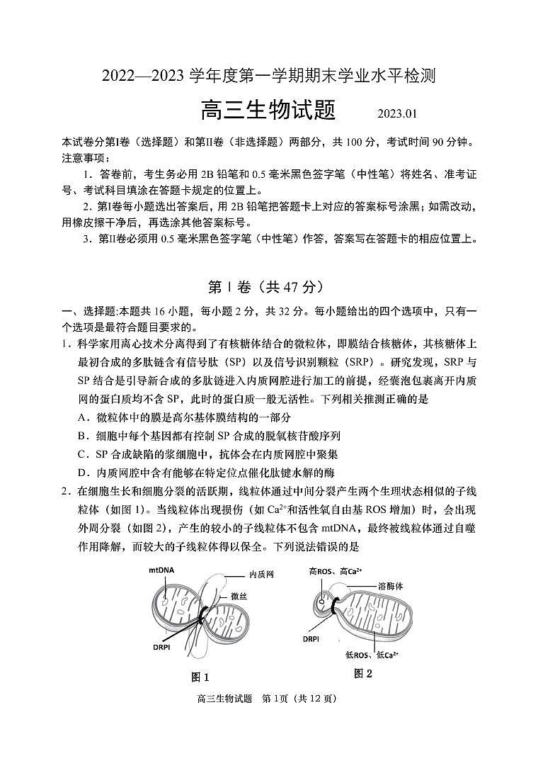 山东省青岛市2022-2023学年高三生物上学期期末考试试题（PDF版附答案）第1页