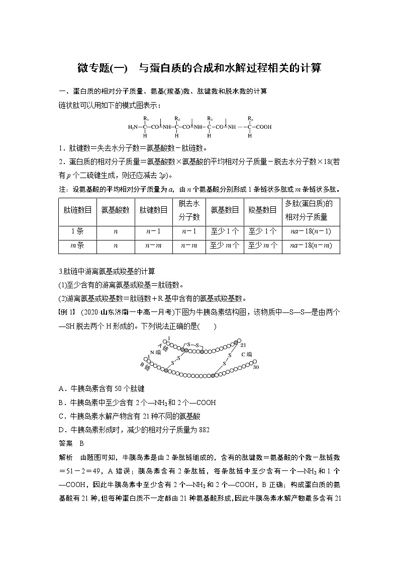 第2章 微专题(一) 与蛋白质的合成和水解过程相关的计算01