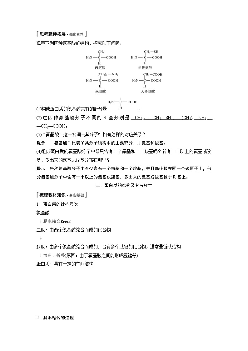 第2章 第4节 蛋白质是生命活动的主要承担者 试卷03