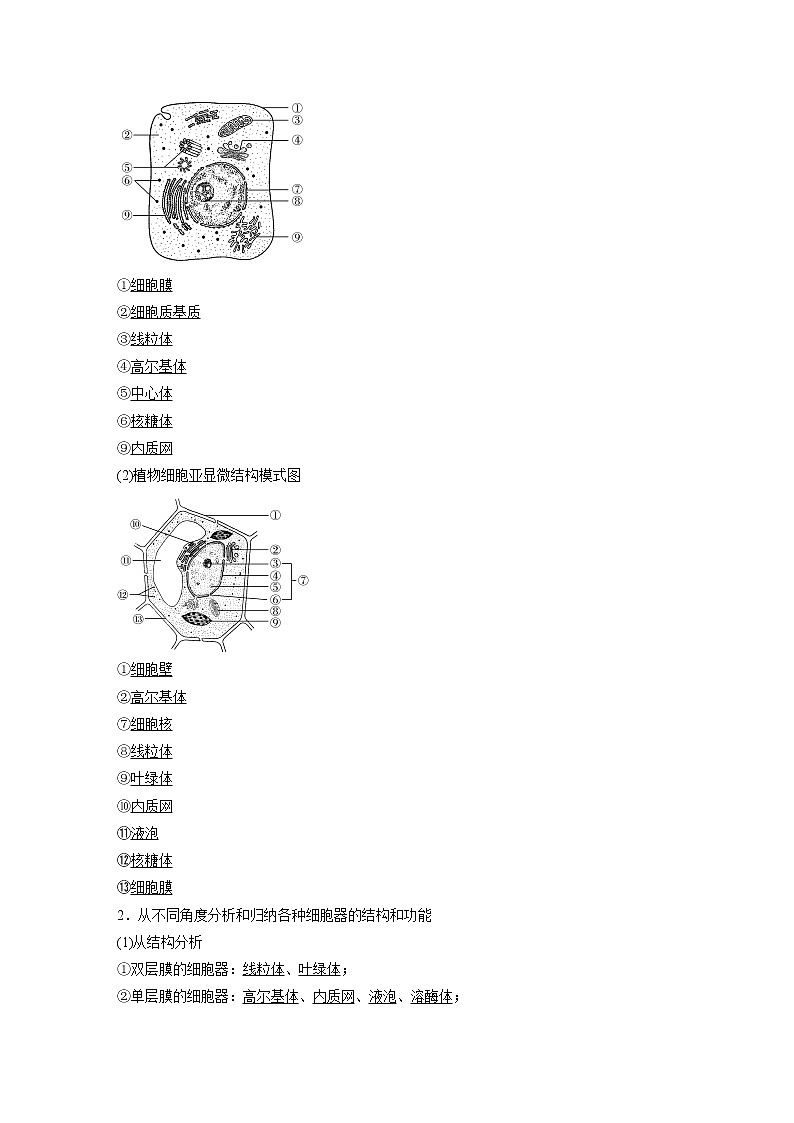 第3章 第2节 第1课时 细胞器之间的分工 试卷03