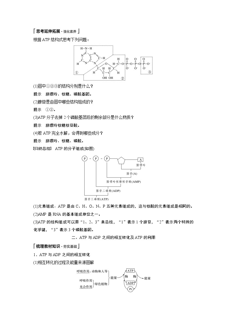第5章 第2节 细胞的能量“货币”ATP 试卷02