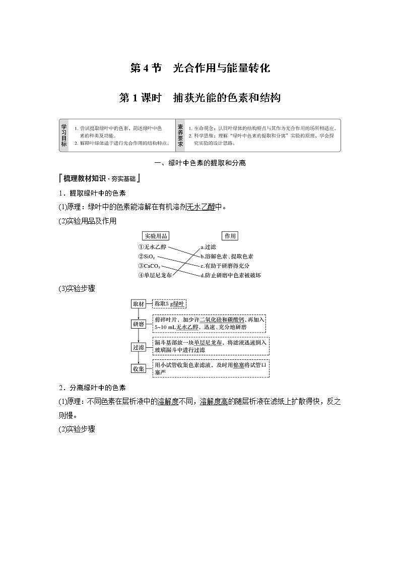 第5章 第4节 第1课时 捕获光能的色素和结构 试卷01