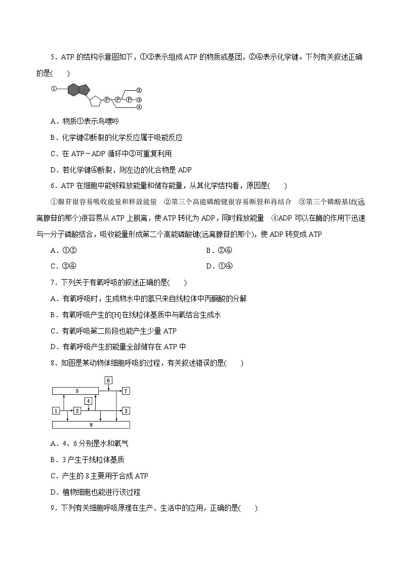 第5章 细胞的能量供应和利用A卷-2020-2021学年高一生物学同步单元AB卷（2019人教版必修1）02