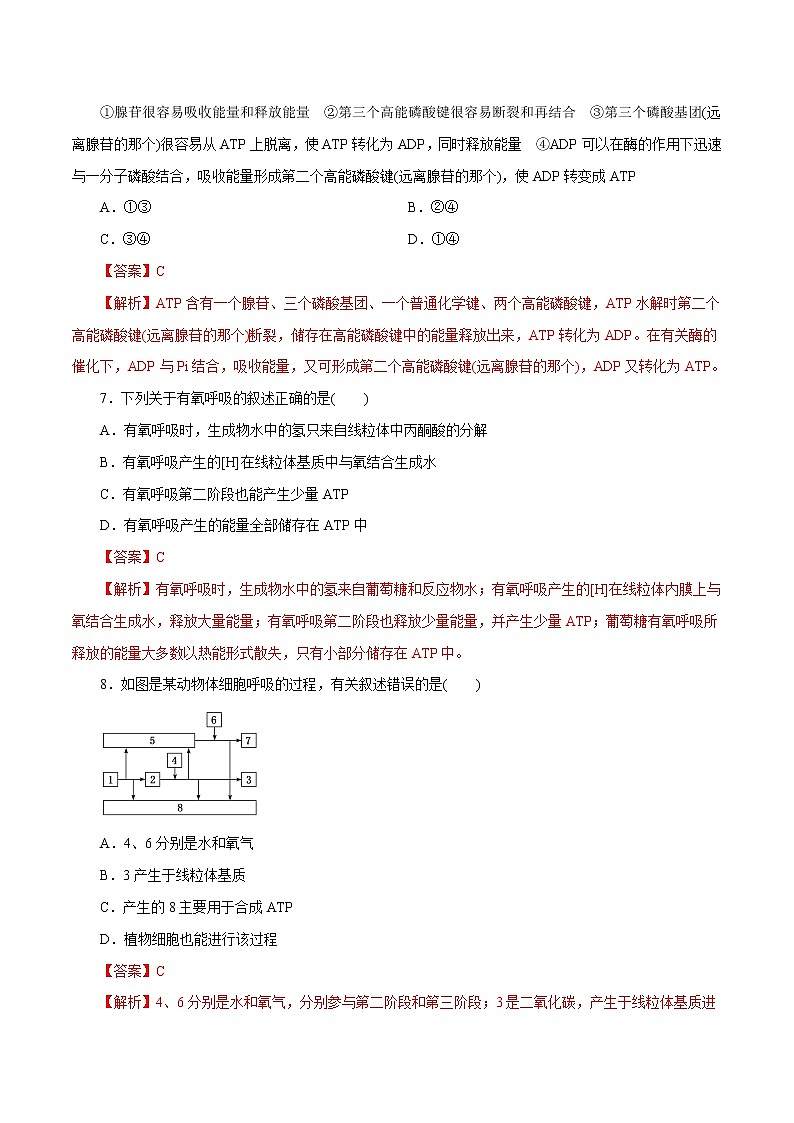 第5章 细胞的能量供应和利用A卷-2020-2021学年高一生物学同步单元AB卷（2019人教版必修1）03