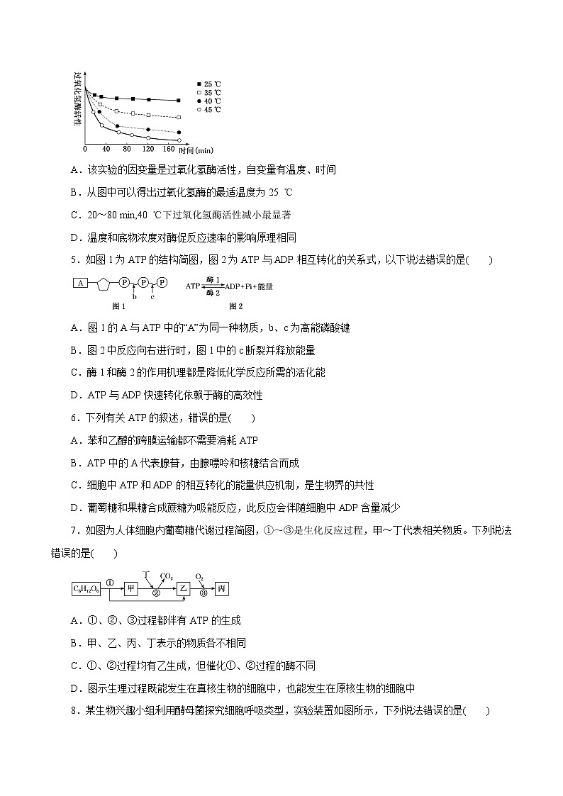 第5章 细胞的能量供应和利用B卷-2020-2021学年高一生物学同步单元AB卷（2019人教版必修1）02