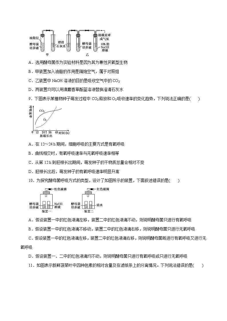 第5章 细胞的能量供应和利用B卷-2020-2021学年高一生物学同步单元AB卷（2019人教版必修1）03