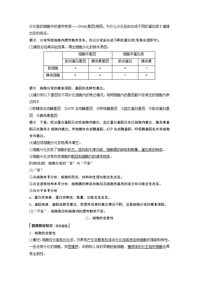 第6章 第2节 细胞的分化 试卷02