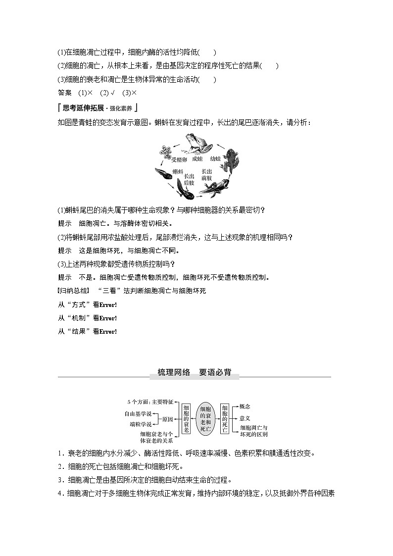 第6章 第3节 细胞的衰老和死亡 试卷03
