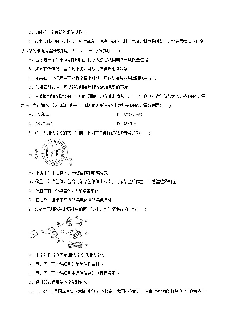 第6章 细胞的生命历程A卷-2020-2021学年高一生物学同步单元AB卷（2019人教版必修1）02