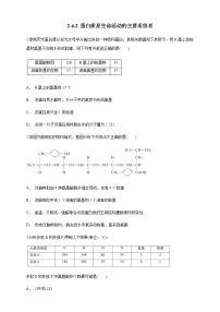高中生物人教版 (2019)必修1《分子与细胞》第4节 蛋白质是生命活动的主要承担者精品练习