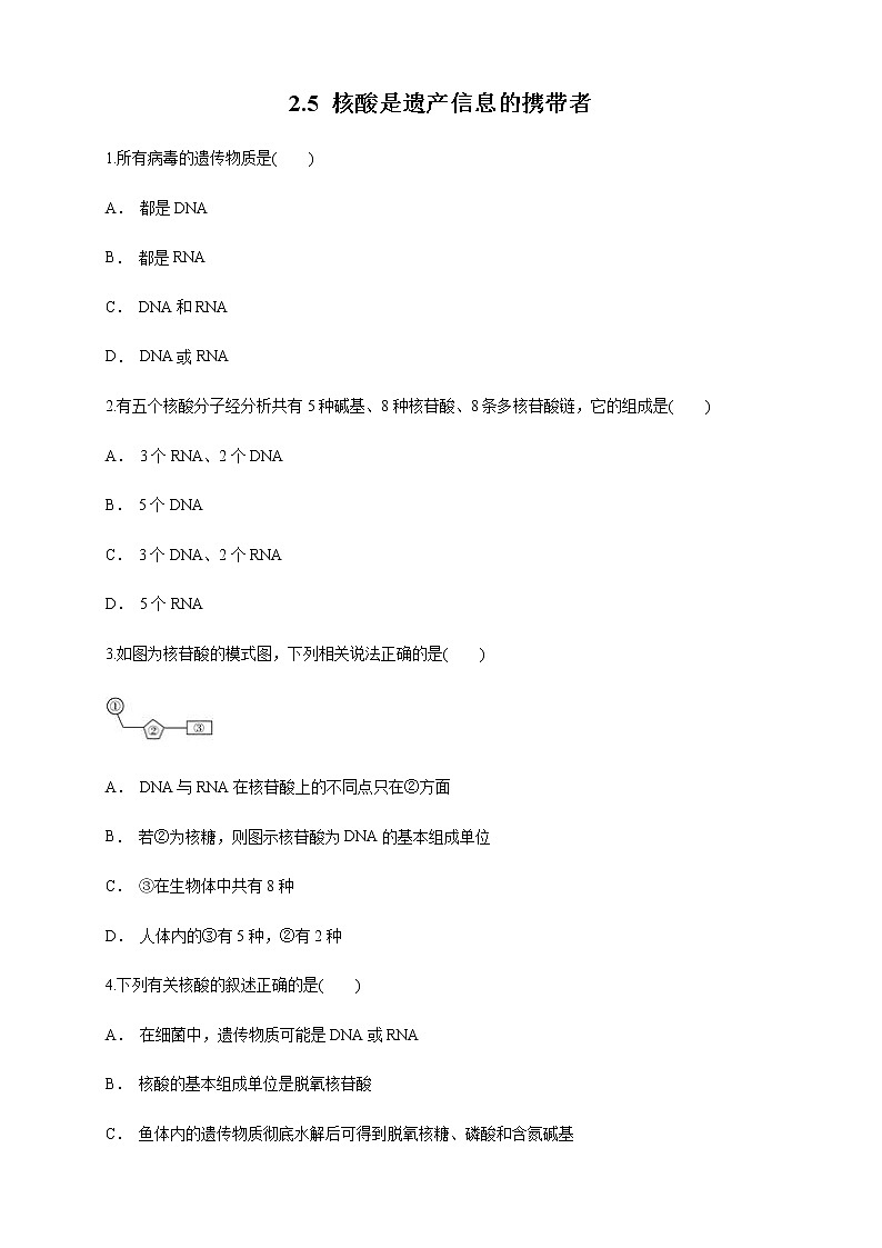 2.5 核酸是遗传信息的携带者 练习（1）（原卷版）第1页