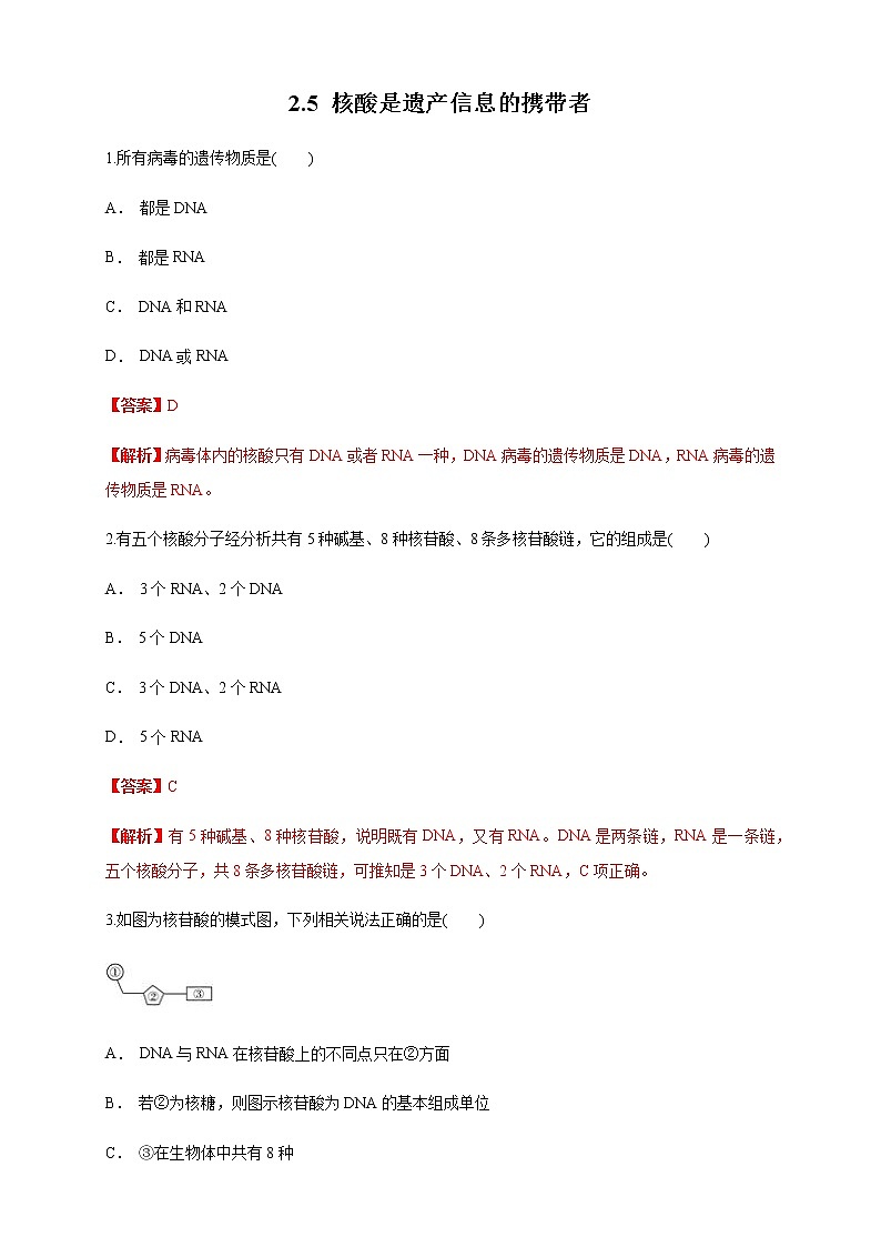 2.5 核酸是遗传信息的携带者 练习（1）（解析版）第1页