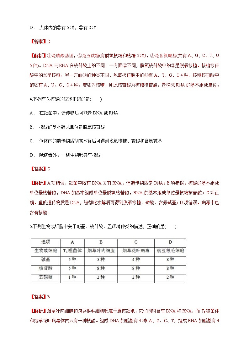 2.5 核酸是遗传信息的携带者 练习（1）（解析版）第2页