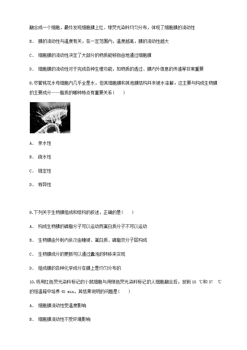 3.1 细胞膜的结构和功能 练习（1）03