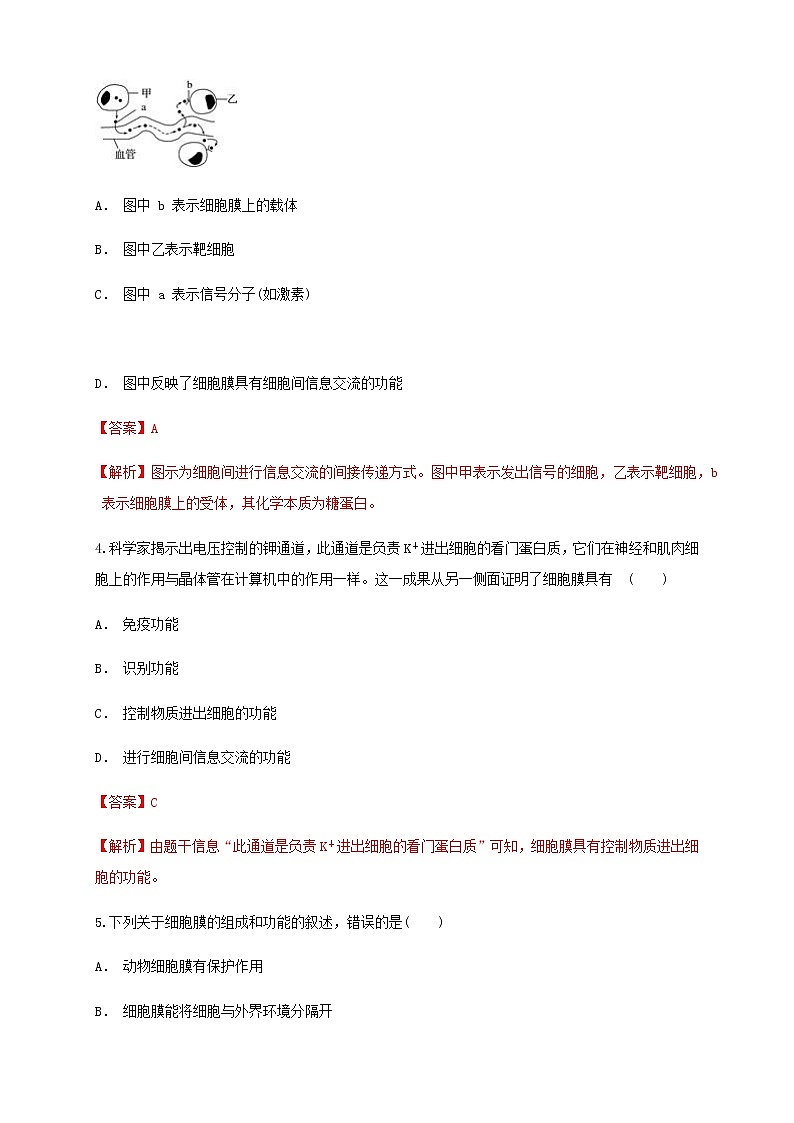 3.1 细胞膜的结构和功能 练习（1）02