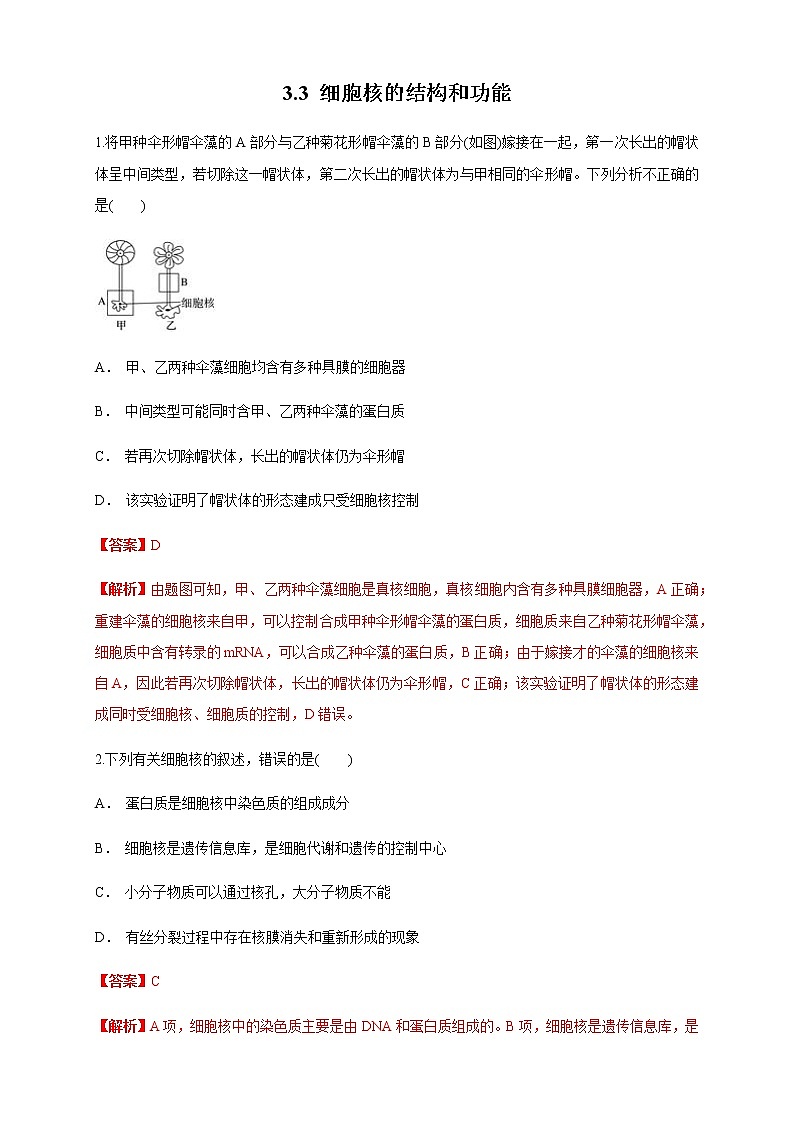 3.3 细胞核的结构和功能 练习（1）01