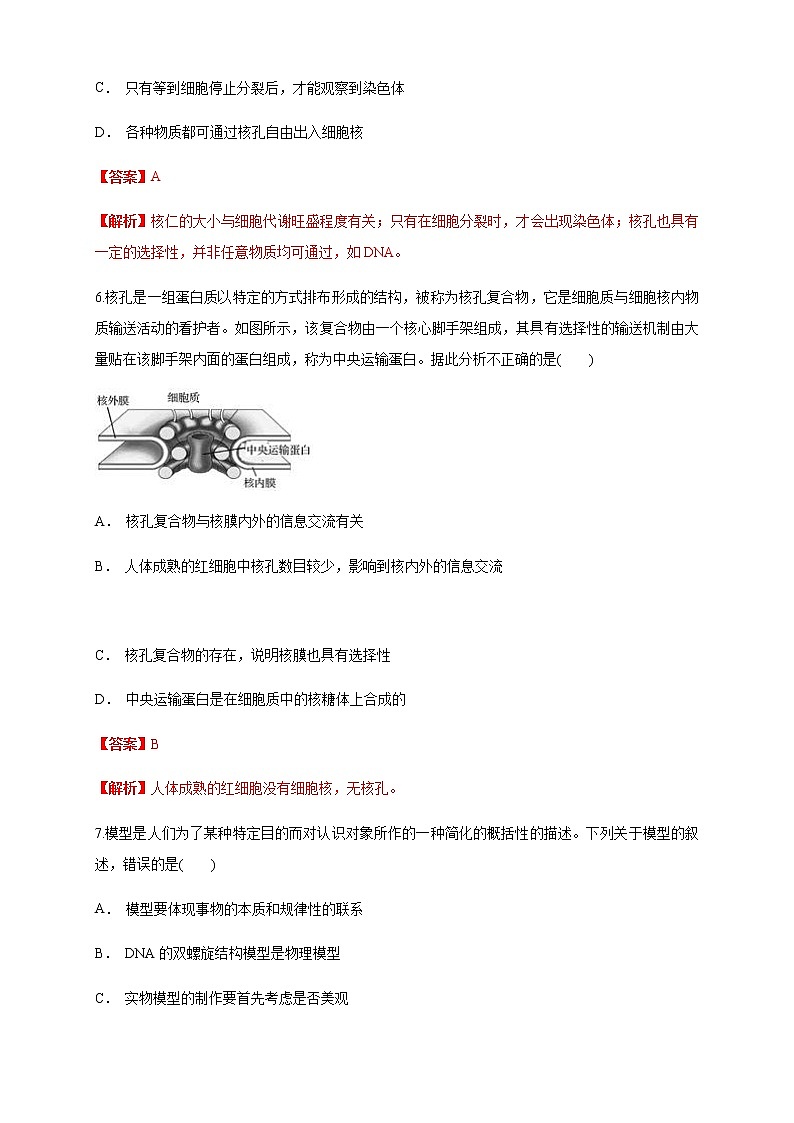 3.3 细胞核的结构和功能 练习（1）03