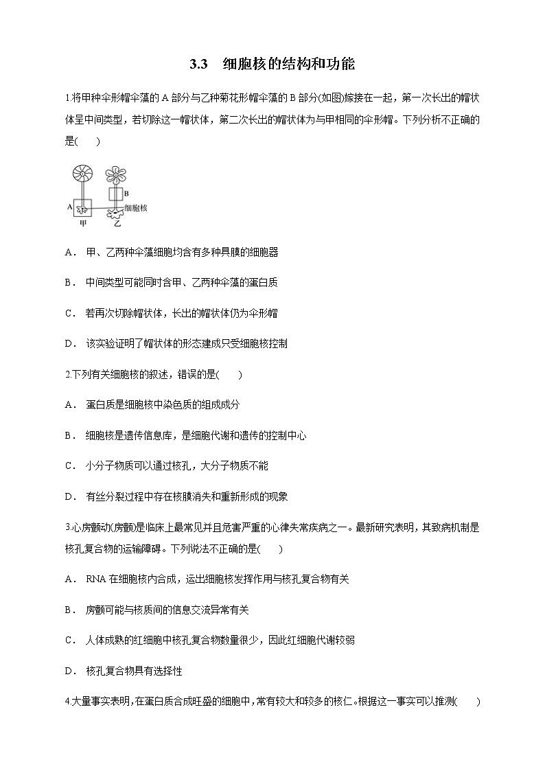 3.3 细胞核的结构和功能 练习（1）01