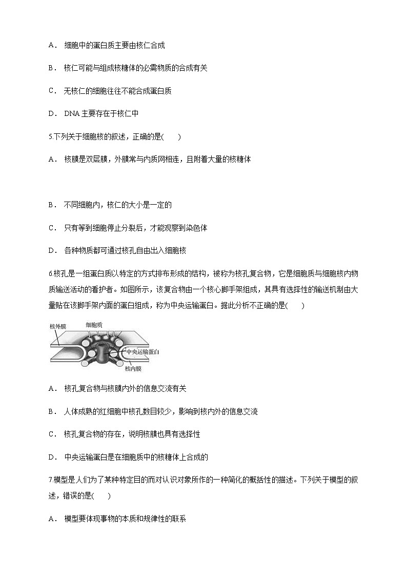 3.3 细胞核的结构和功能 练习（1）02