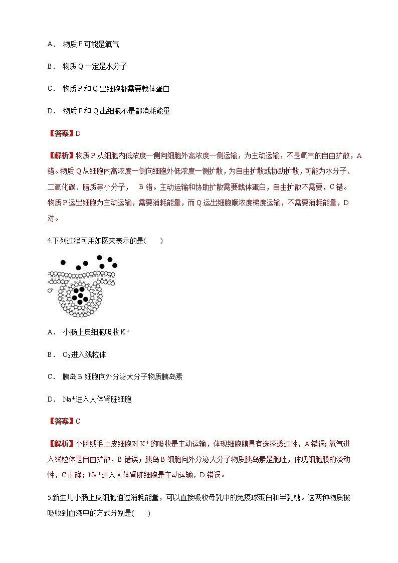 4.2 主动运输与胞吞、胞吐 练习（1）02
