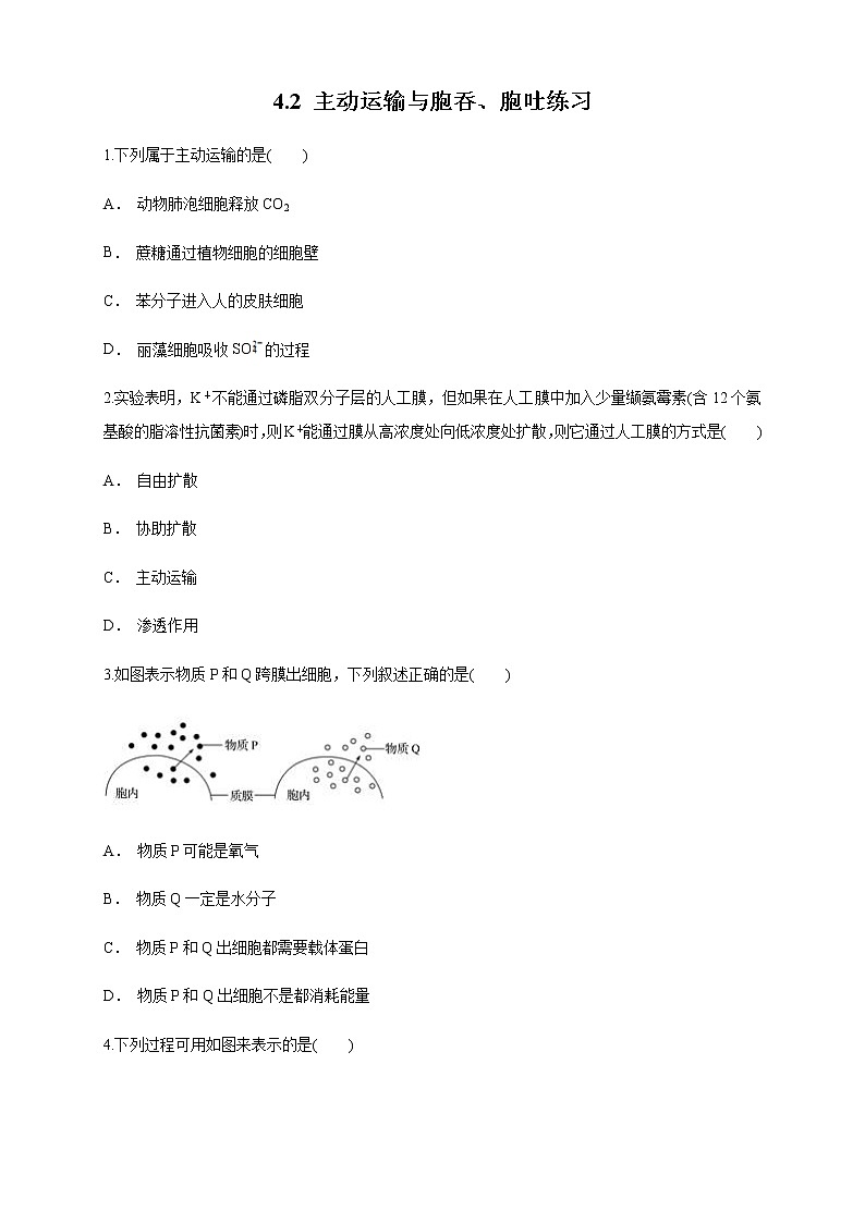 4.2 主动运输与胞吞、胞吐 练习（1）01