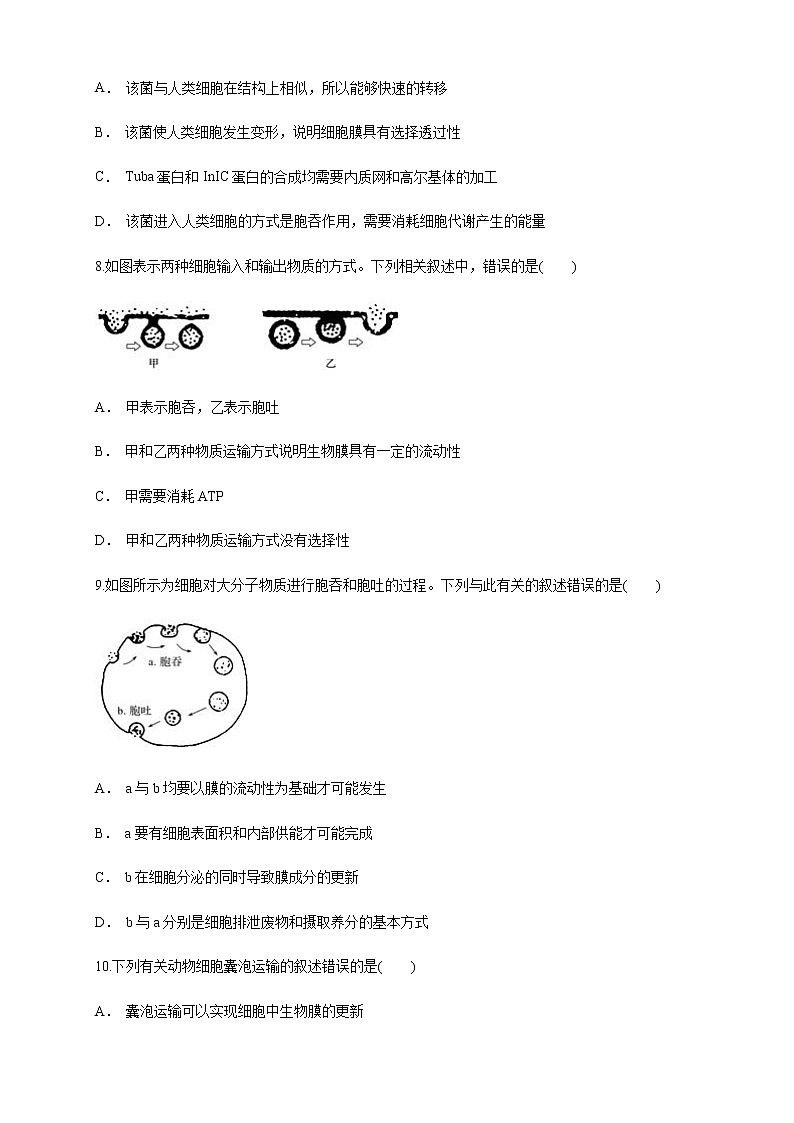 4.2 主动运输与胞吞、胞吐 练习（1）03