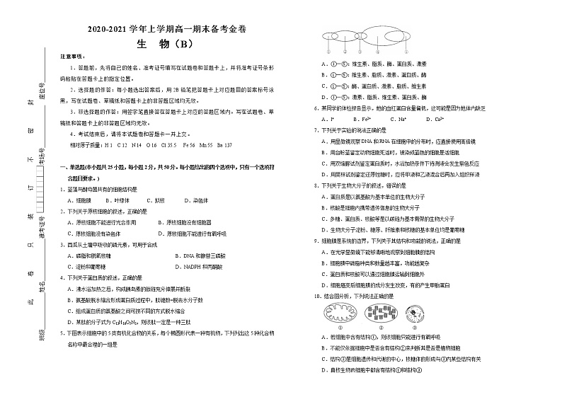 【原创】2020-2021学年上学期高一期末备考金卷 生物（B卷）01