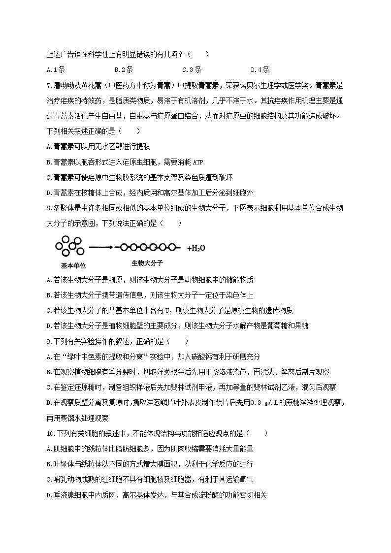 黑龙江省鹤岗市第一中学2020-2021学年高一上学期期末考试生物试题02