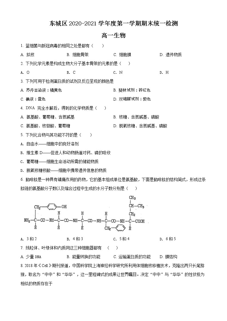 精品解析：北京市东城区2020-2021学年高一上学期期末生物试题01