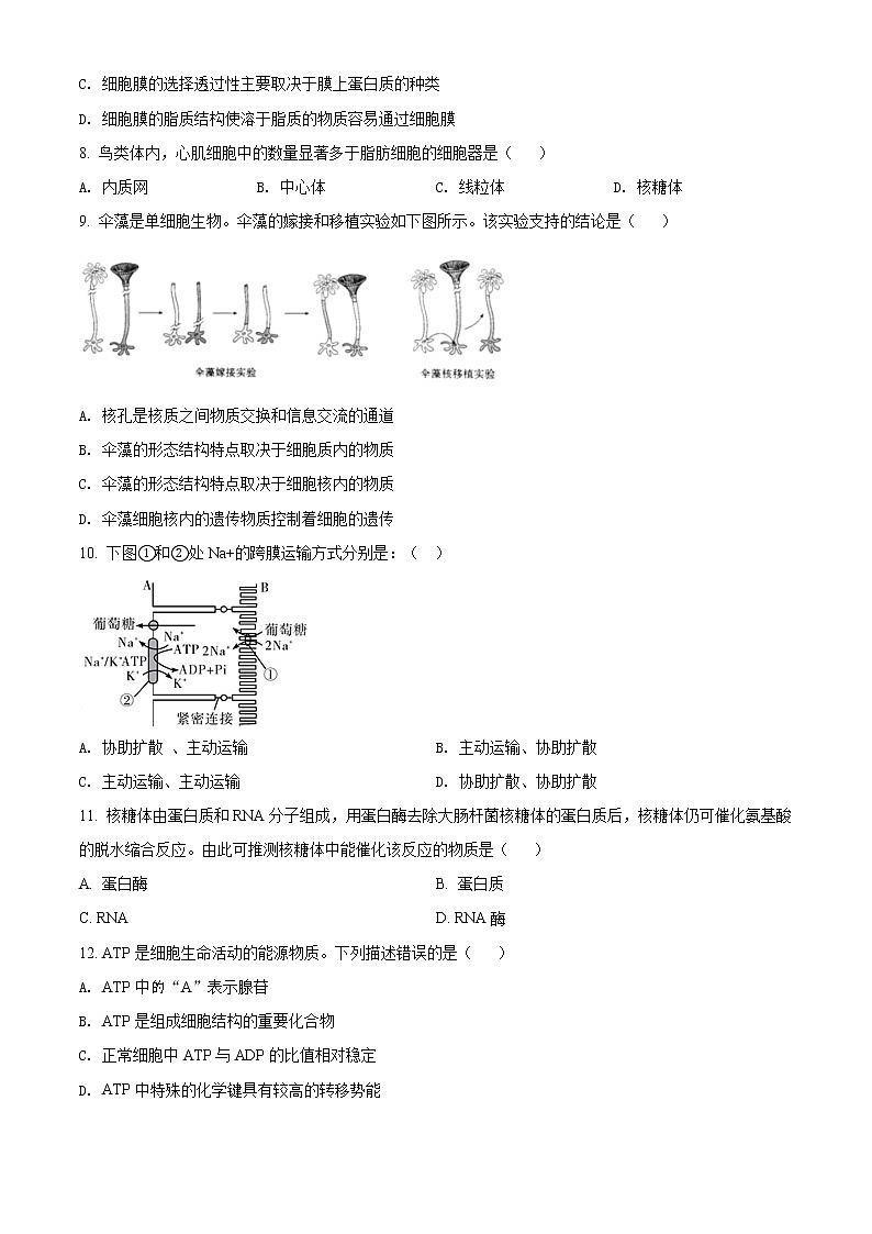精品解析：北京市平谷区2020-2021学年高一上学期期末生物试题02
