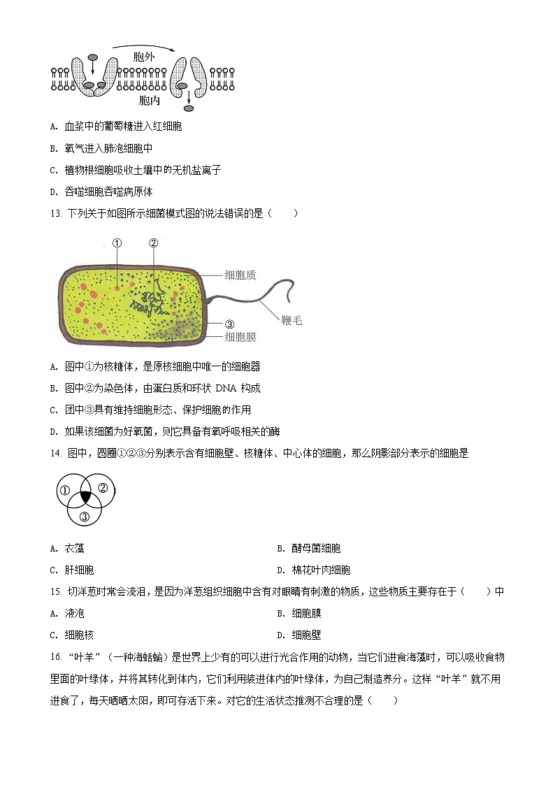 精品解析：江苏省南京市南京师大附中2020-2021学年高一上学期期末生物试题03