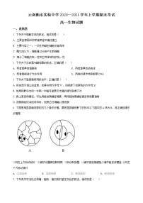 精品解析：云南省昆明市衡水实验中学西山学校2020-2021学年高一上学期期末生物试题