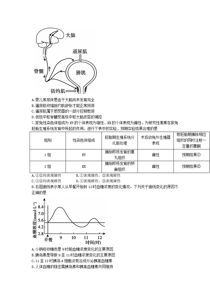 2022-2023学年北京市顺义区高二上学期期末质量监测生物学试题（Word版含答案）02