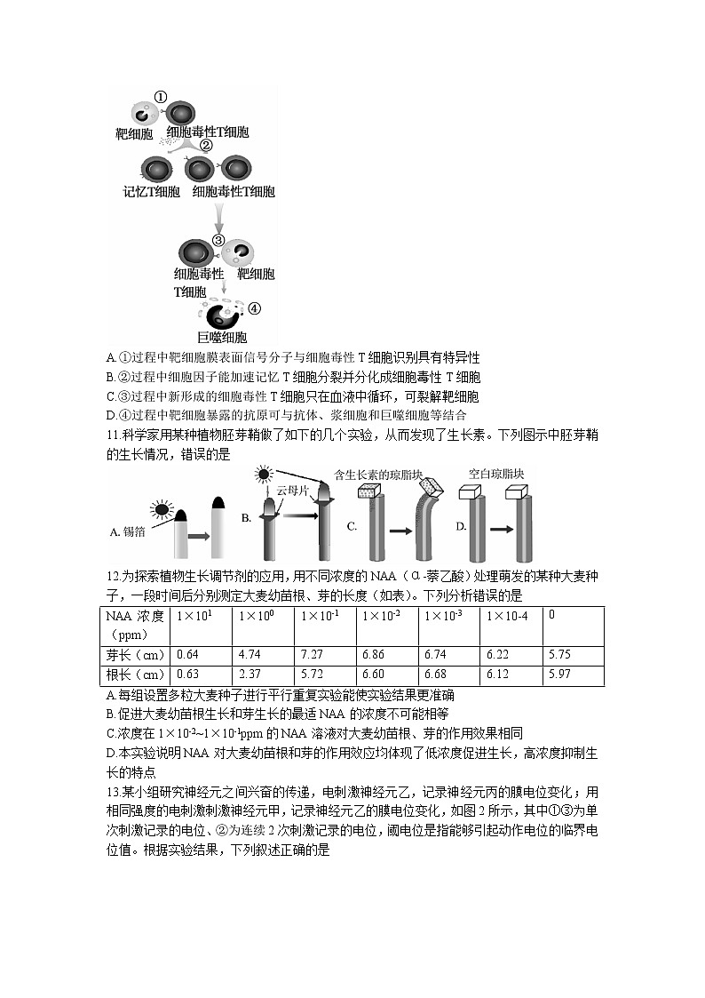 2022-2023学年广东省阳江市部分学校高二上学期12月联考生物试题（Word版含解析）03